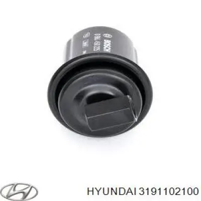 Фільтр паливний Hyundai/Kia 3191102100