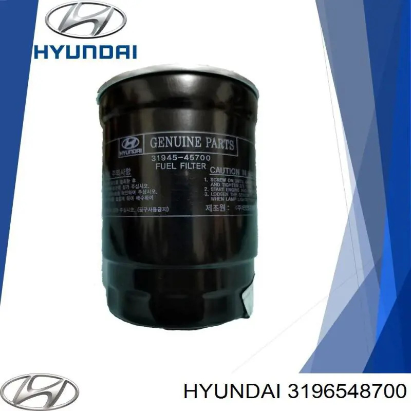 3196548700 Hyundai/Kia Фільтр палива