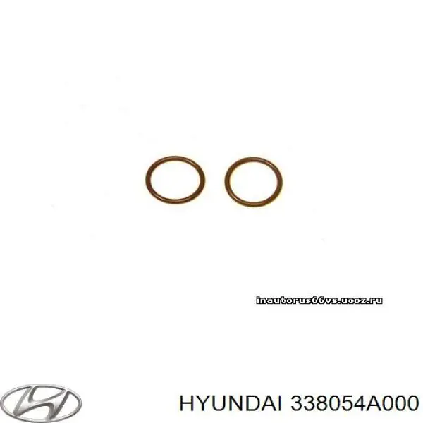 338054A000 Hyundai/Kia шайба форсунки верхня