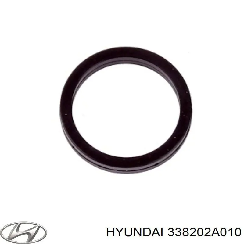 Кільце форсунки інжектора, посадочне на Hyundai I30 (PD)