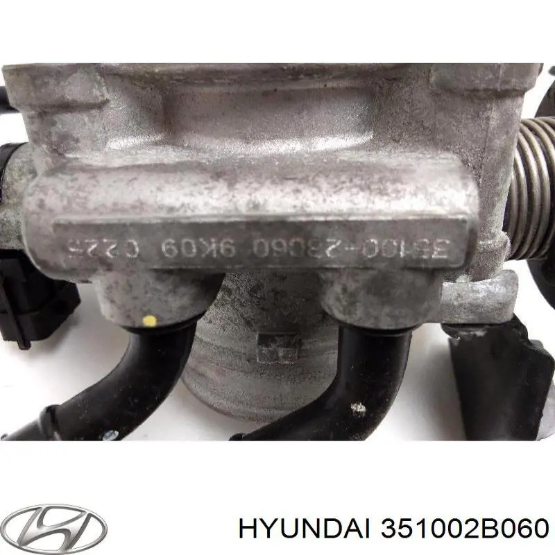 Дросільна заслінка в зборі 351002B060 Hyundai/Kia