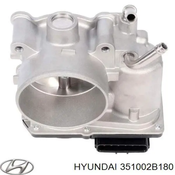  Дросільна заслінка Hyundai Elantra 5