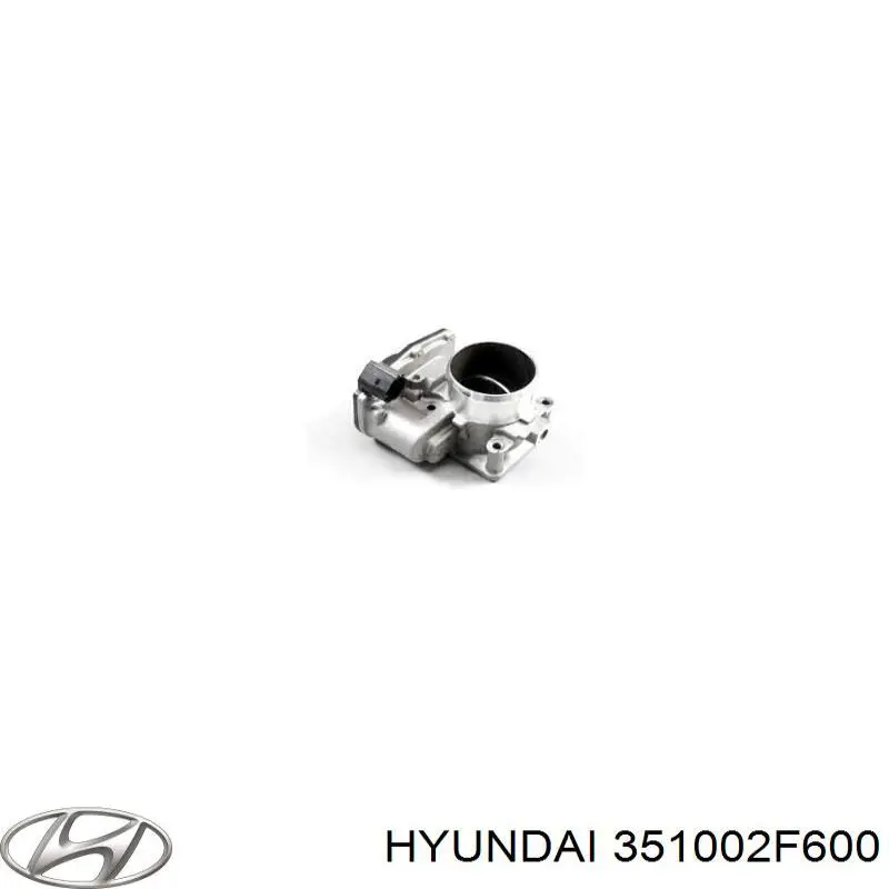 Дросільна заслінка в зборі 351002F600 Hyundai/Kia