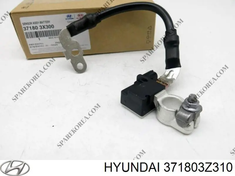 371803Z310 Hyundai/Kia 