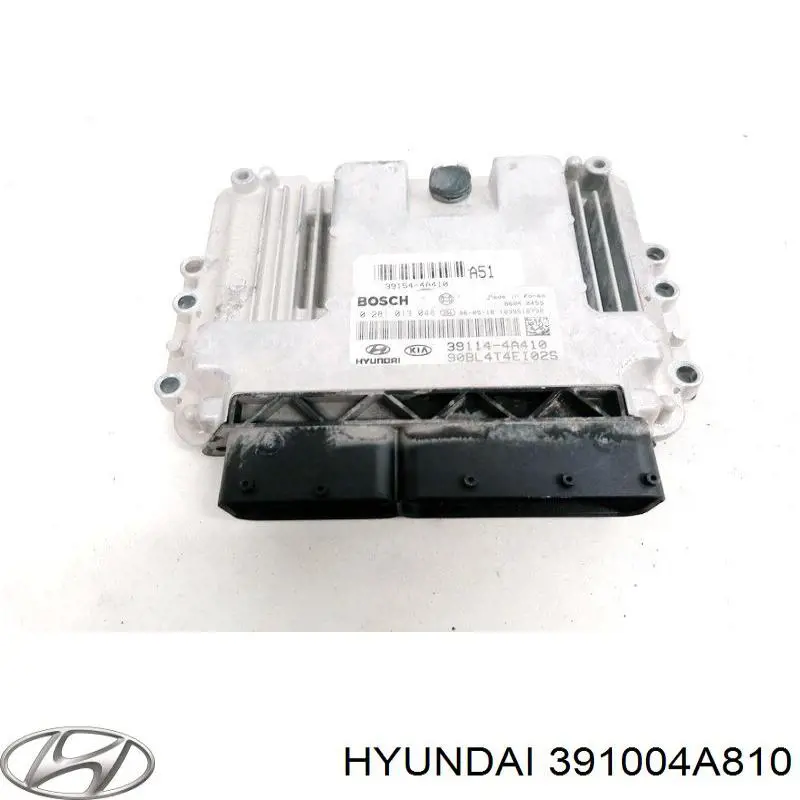 Блок двигуна Hyundai/Kia 391004A810