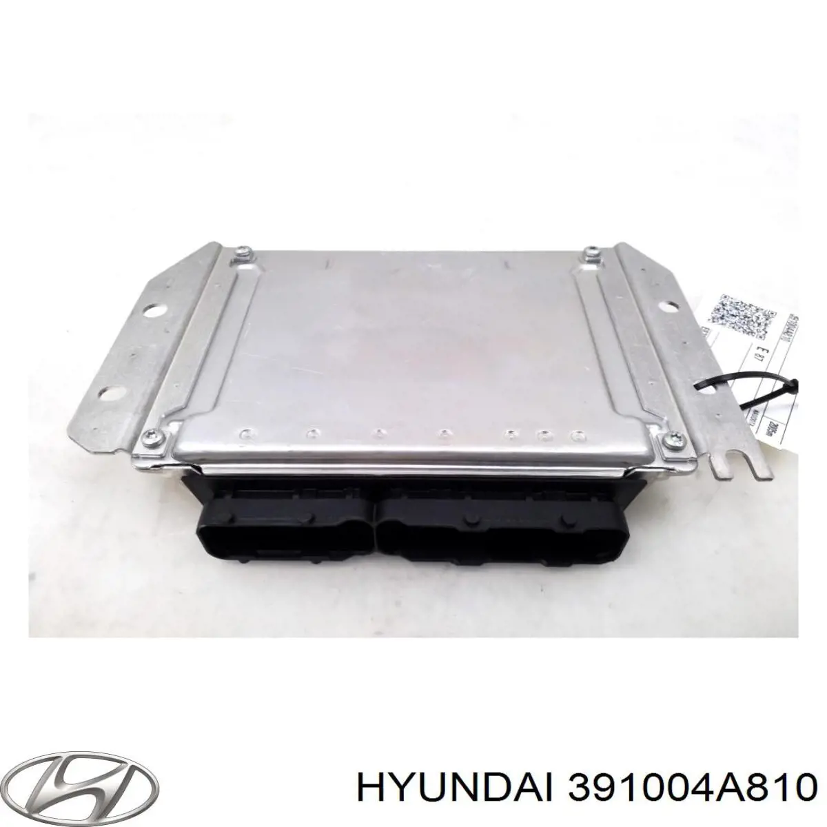 391004A810 Hyundai/Kia модуль (блок керування (ЕБУ) двигуном)