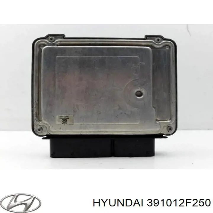 391012F250 Hyundai/Kia Блок електронного управління