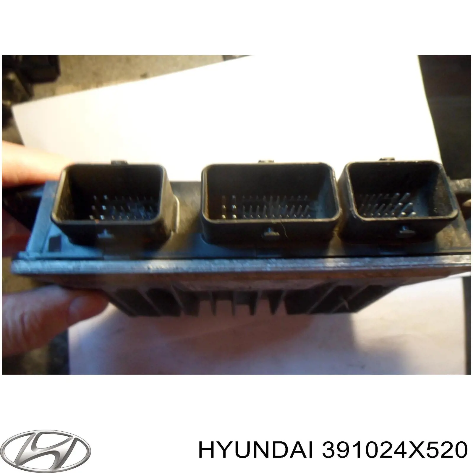 ЕБУ Hyundai/Kia 391024X520 ціна, від 63.35 USD