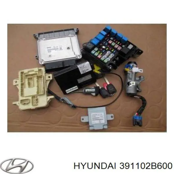 Купити 391102B600 Hyundai/Kia 