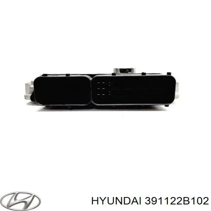 Купити 391122B102 Hyundai/Kia Модуль управління двигуном
