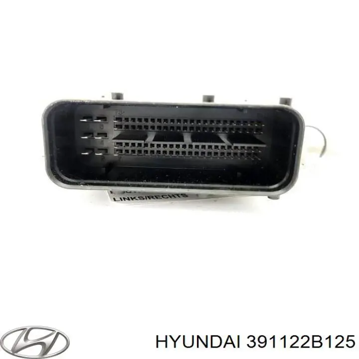 Купити 391122B125 Hyundai/Kia Модуль управління двигуном