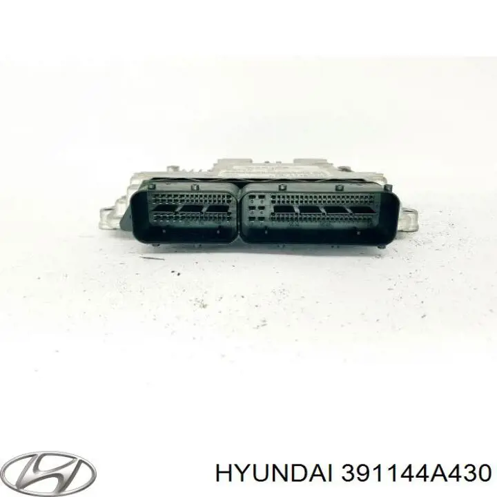 391144A430 Hyundai/Kia 