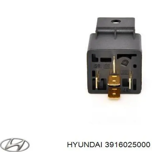  3916025000 Hyundai/Kia