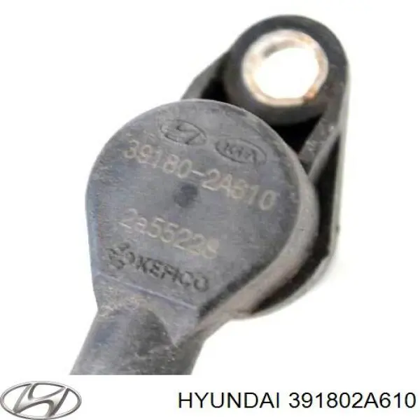ECPHY024 NTY ДПКВ