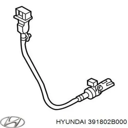 391802B000 Hyundai/Kia ДПКВ