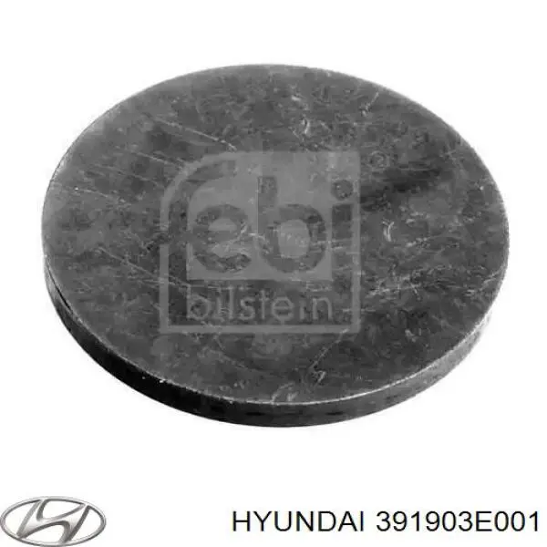  Hyundai/Kia 391903E001 ціна, від 38.63 USD