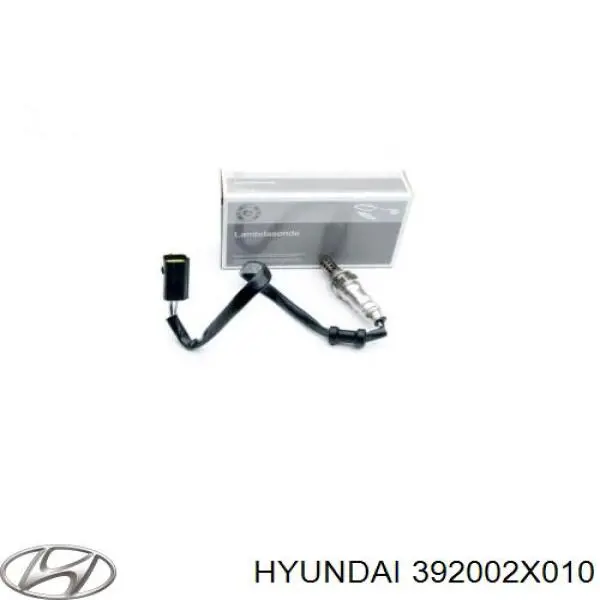 Купити 392002X010 Hyundai/Kia 