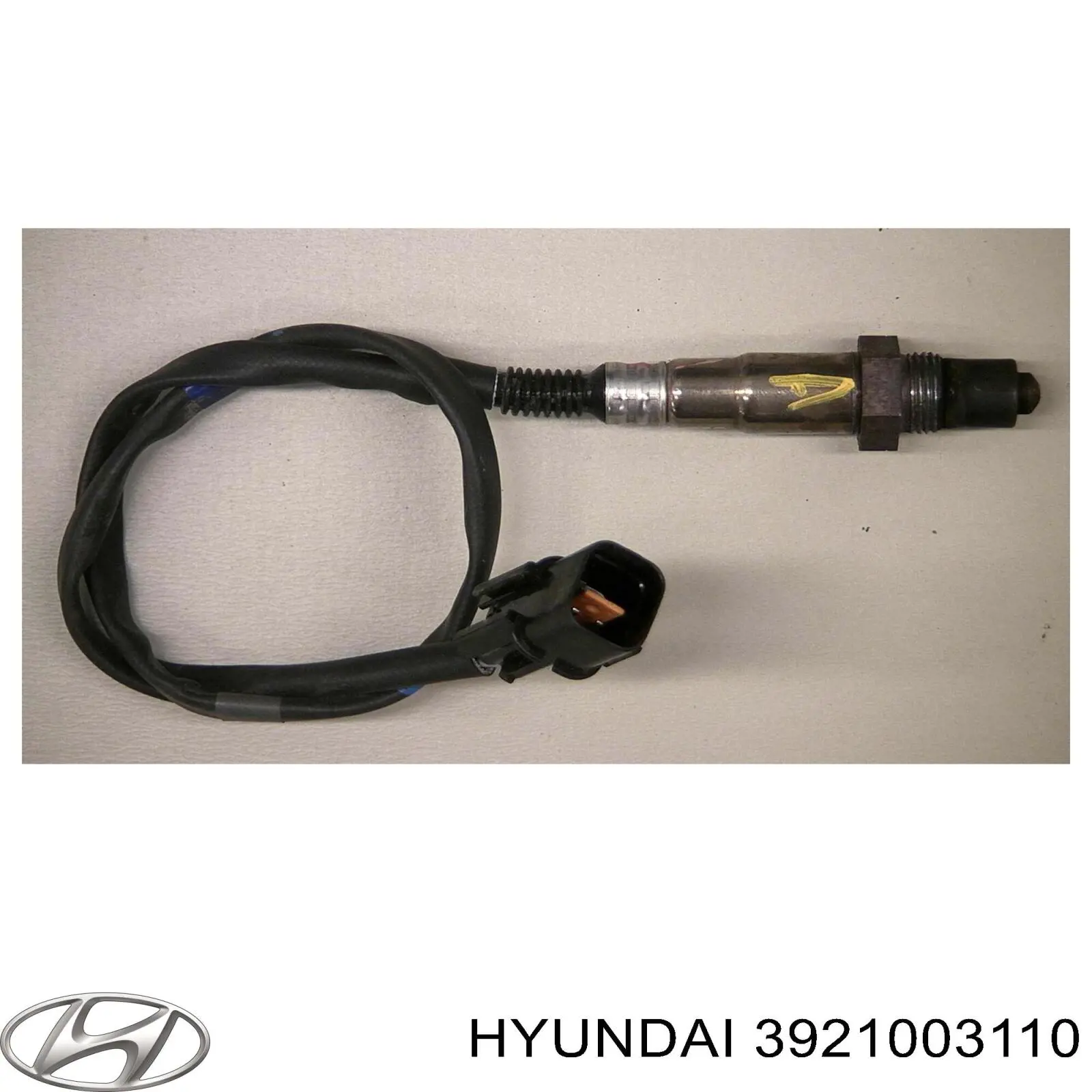  Magneti Marelli 466016355248 ціна, від 42.49 USD