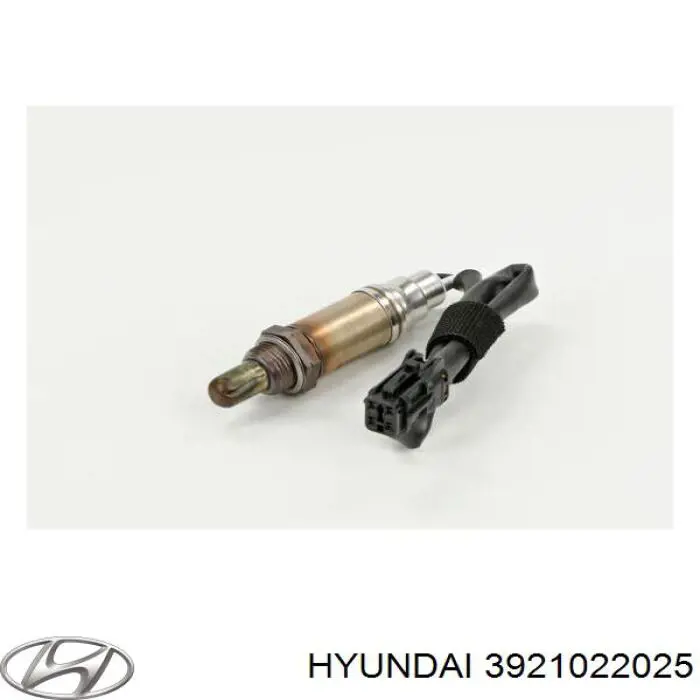 3921022025 Hyundai/Kia 