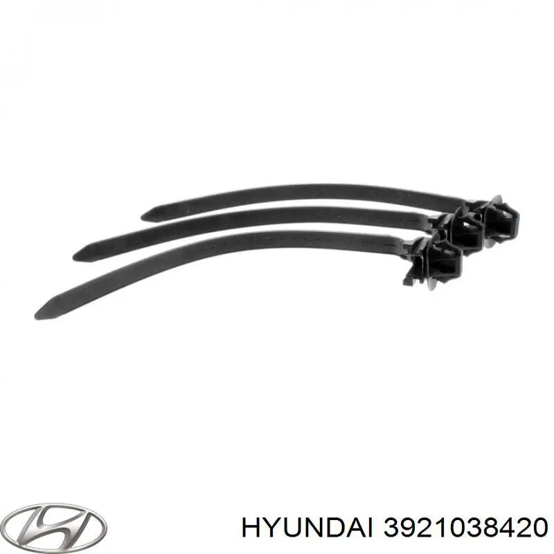  3921038420 Hyundai/Kia