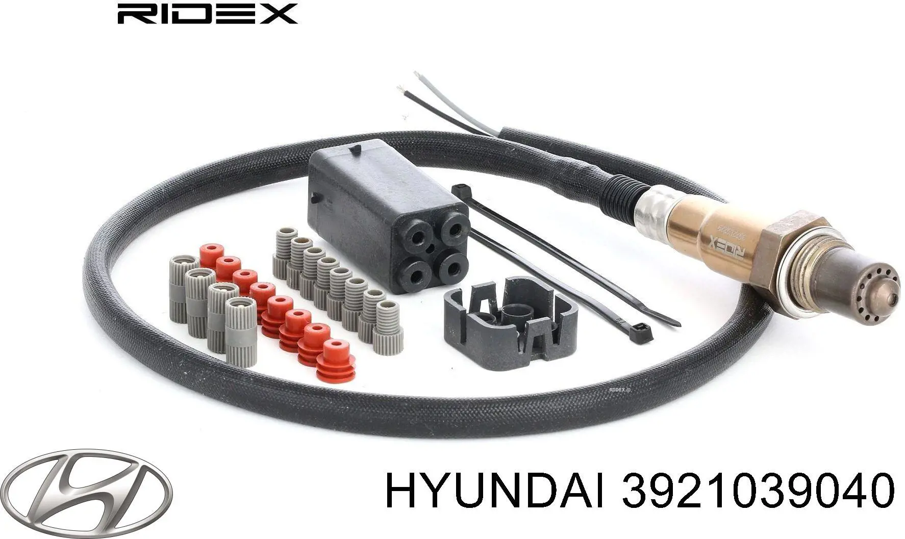 3921039040 Hyundai/Kia 