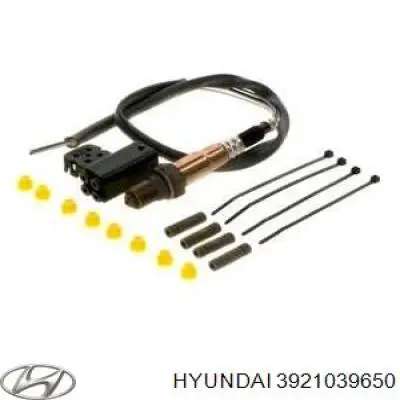 3921039650 Hyundai/Kia 