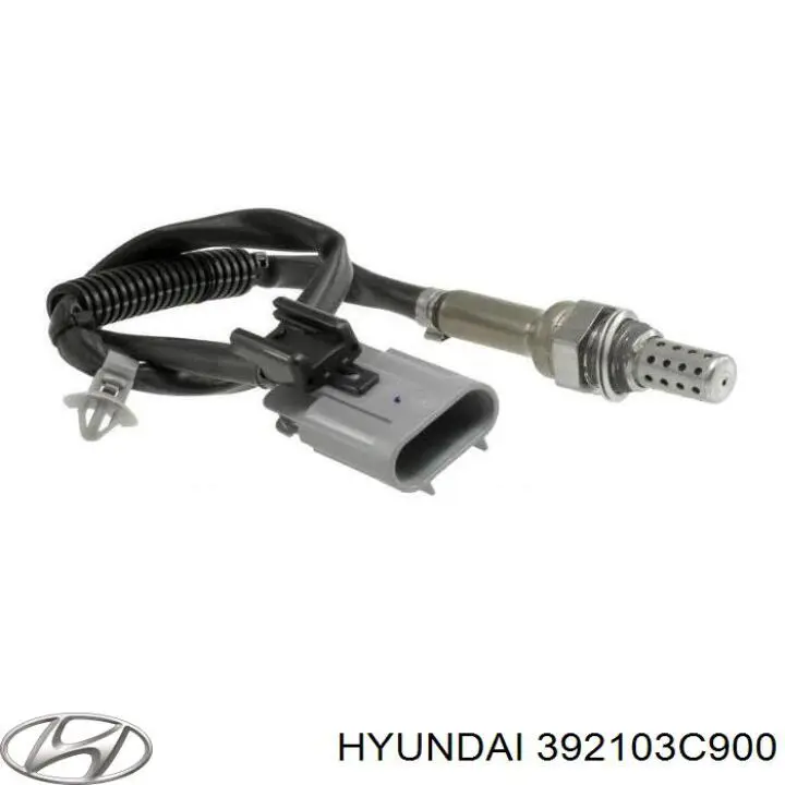 392103C900 Hyundai/Kia 