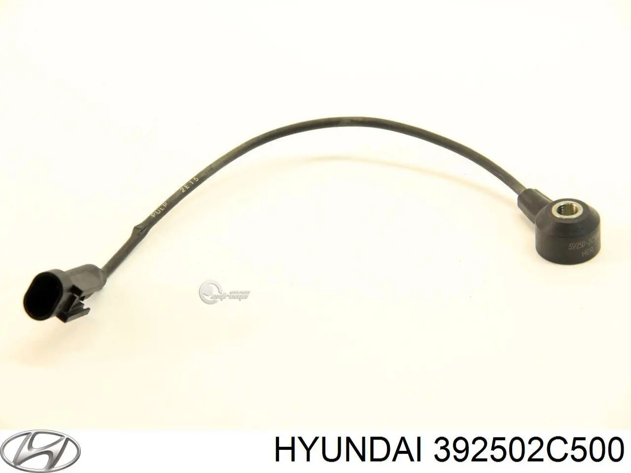 392502C500 Hyundai/Kia 