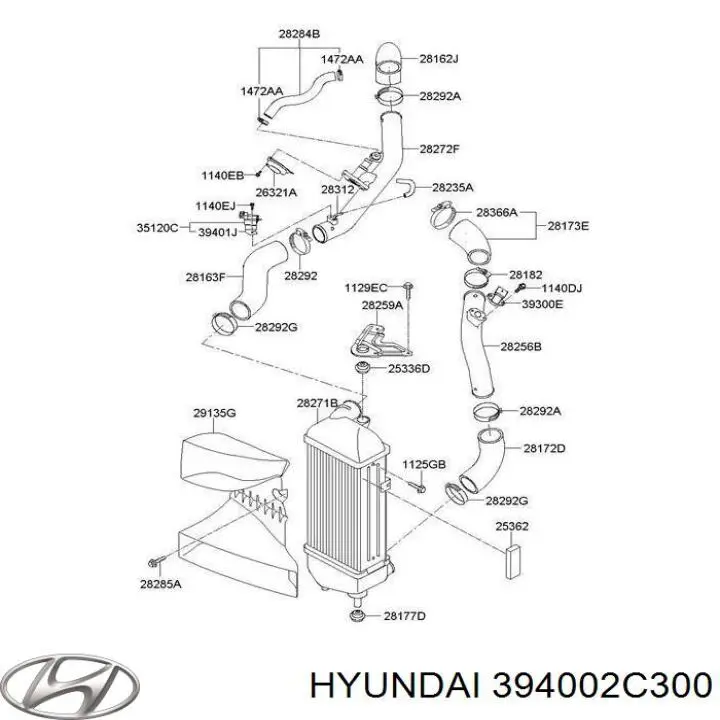 HSE1230 Hotaru Блок управління турбіною
