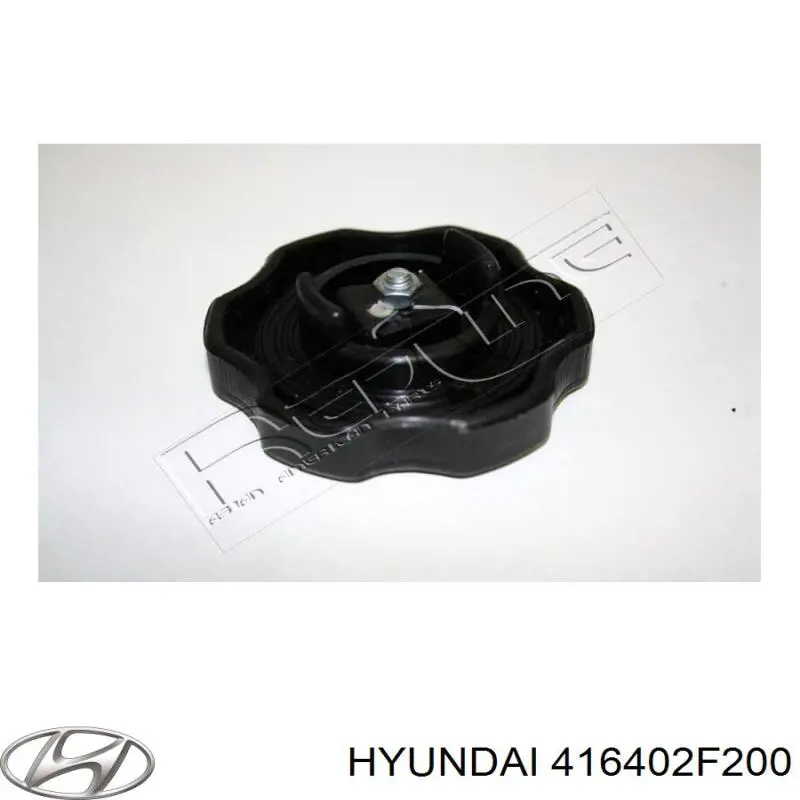  416402F200 Hyundai/Kia