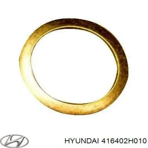 416402H010 Hyundai/Kia шланг зчеплення