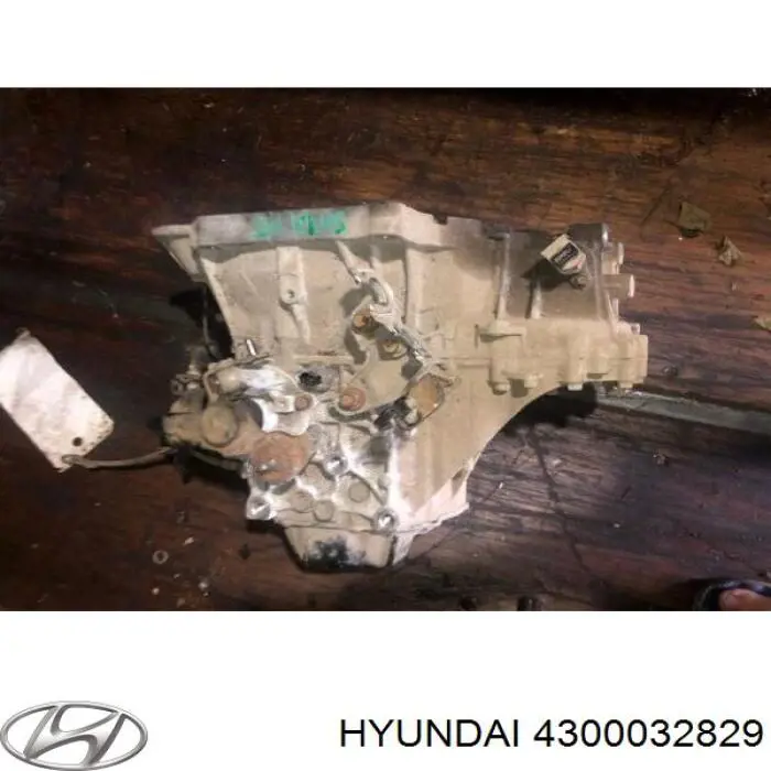  4300032829 Hyundai/Kia