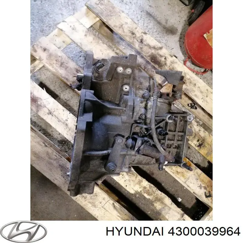 4300039964 Hyundai/Kia МКПП