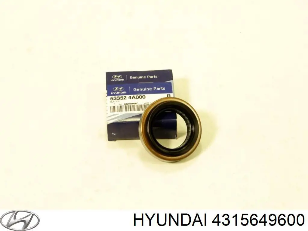  4315649600 Hyundai/Kia