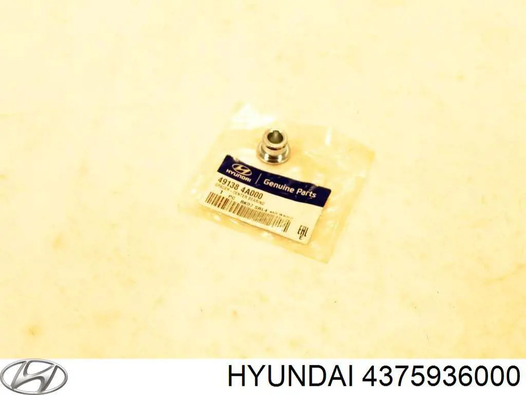  4375936000 Hyundai/Kia