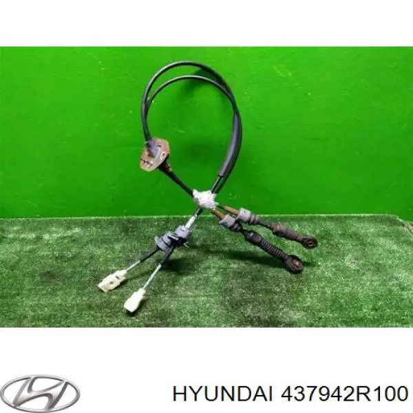  437942R100 Hyundai/Kia