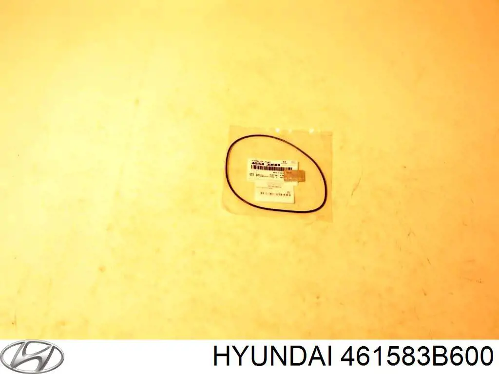Ущільнення, кільце маслянного насосу АКПП Hyundai Sonata (LF) (Хендай Соната)