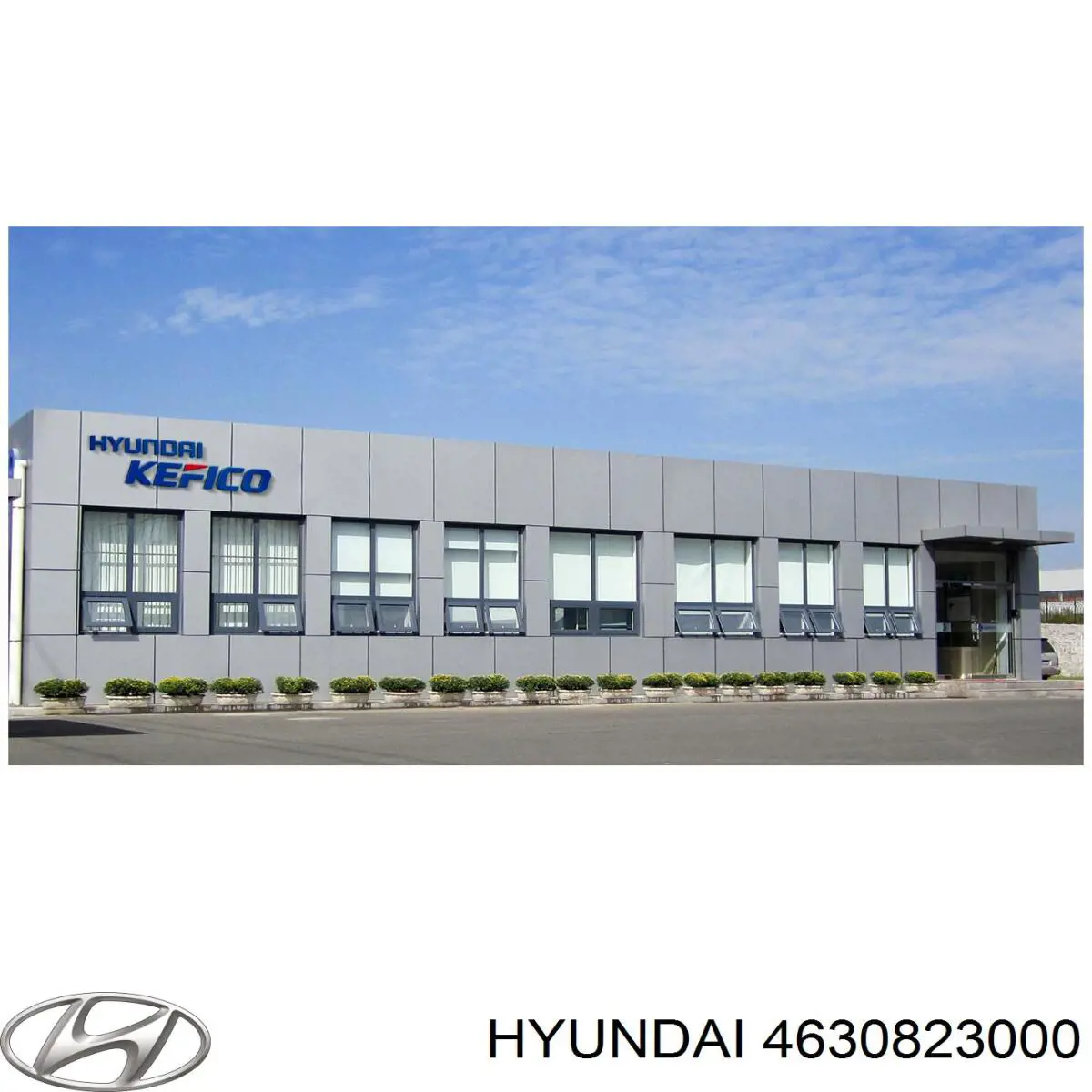 Джгут дротів АКПП Hyundai/Kia 4630823000