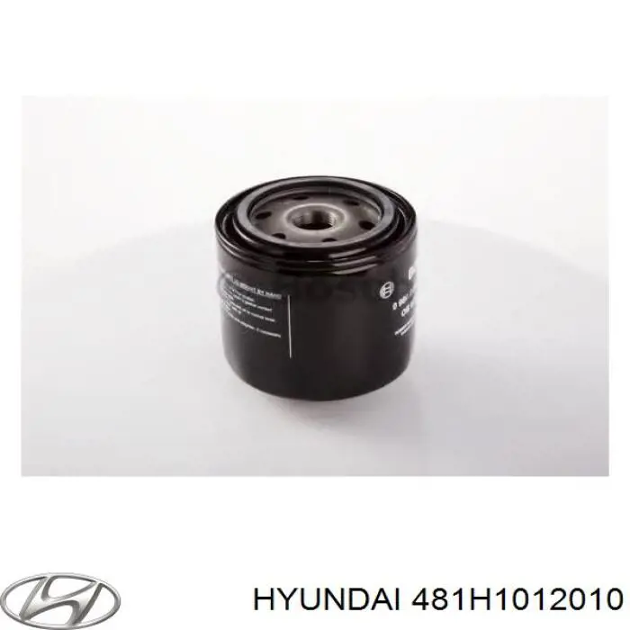 481H1012010 Hyundai/Kia фільтр масляний