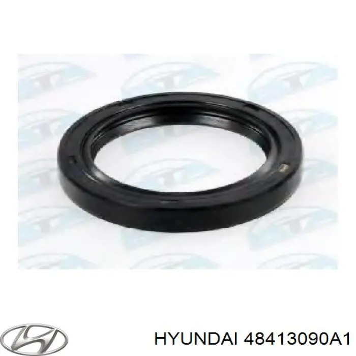 Задні гальмівні колодки Hyundai/Kia 48413090A1 ціна, від 21.44 USD