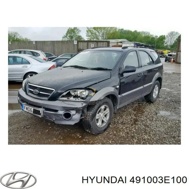 Купити 491003E100 Hyundai/Kia Кардан передній