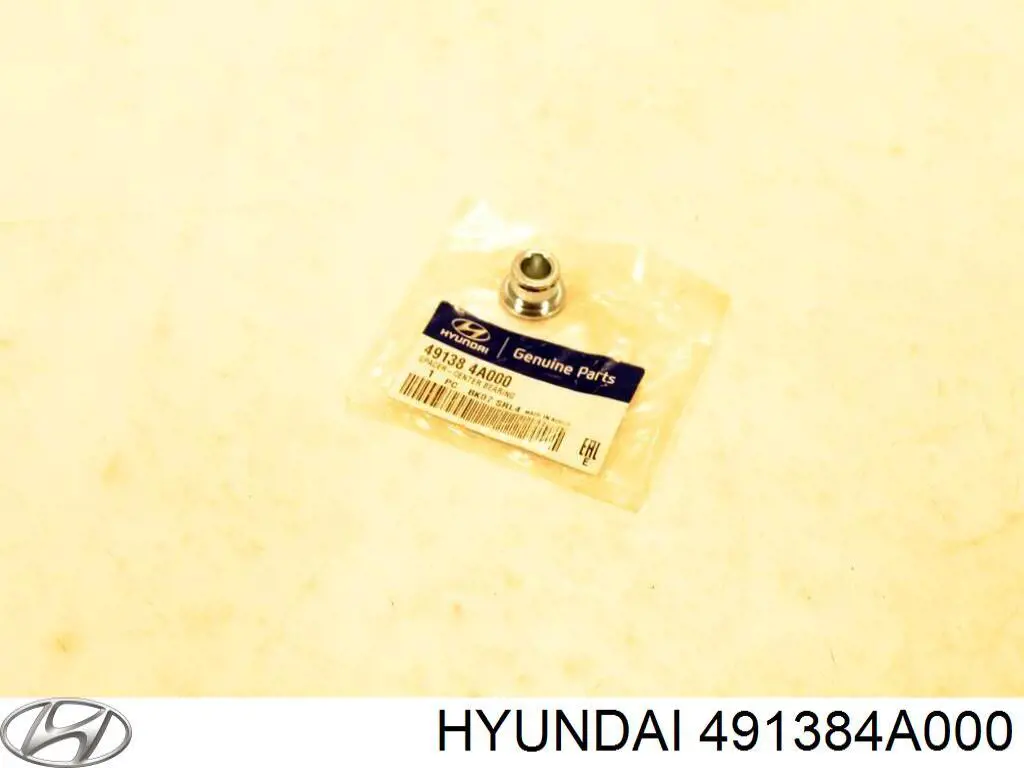  Hyundai/Kia 491384A000 ціна, від 24.43 USD