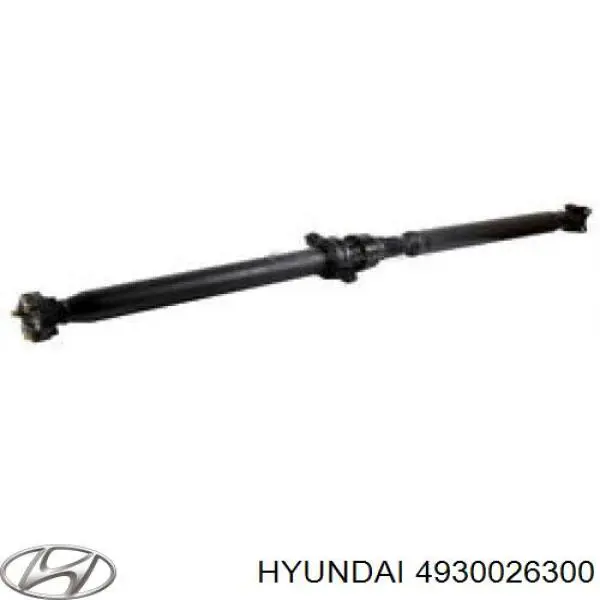 4930026300 Hyundai/Kia 