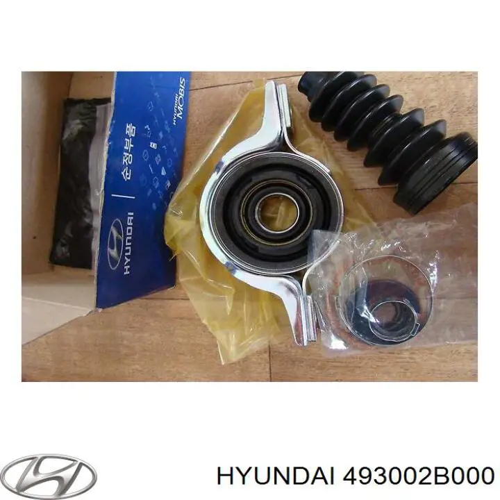  493002B000 Hyundai/Kia