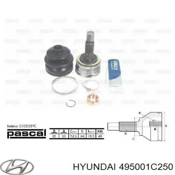 Купити 495001C250 Hyundai/Kia 