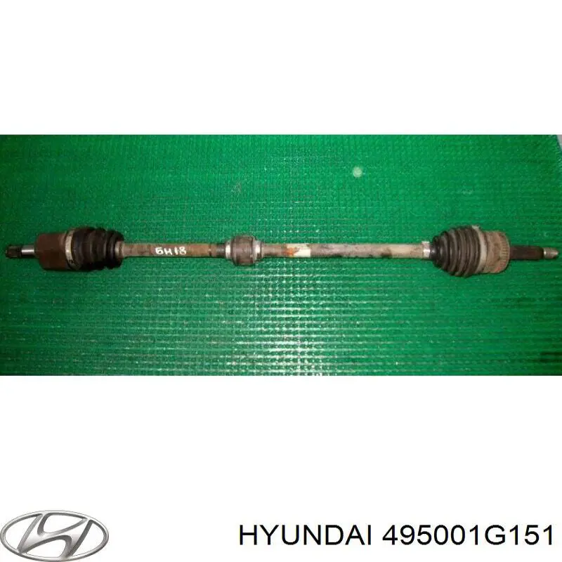 Купити 495001G151 Hyundai/Kia 