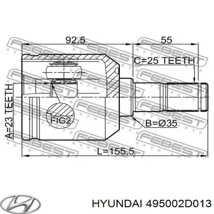  XX495002D013 Market (OEM)