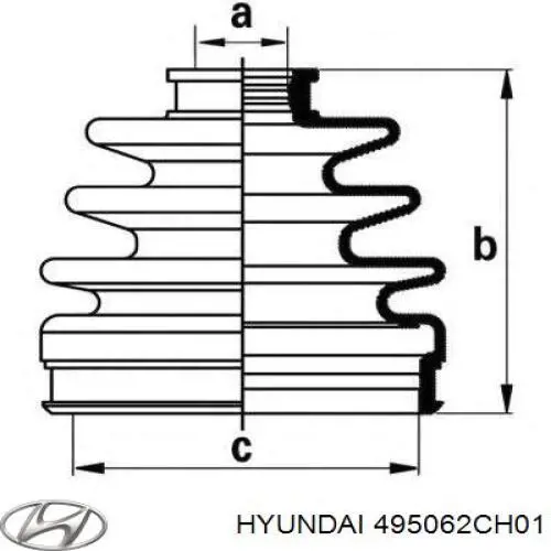  495062CH01 Hyundai/Kia