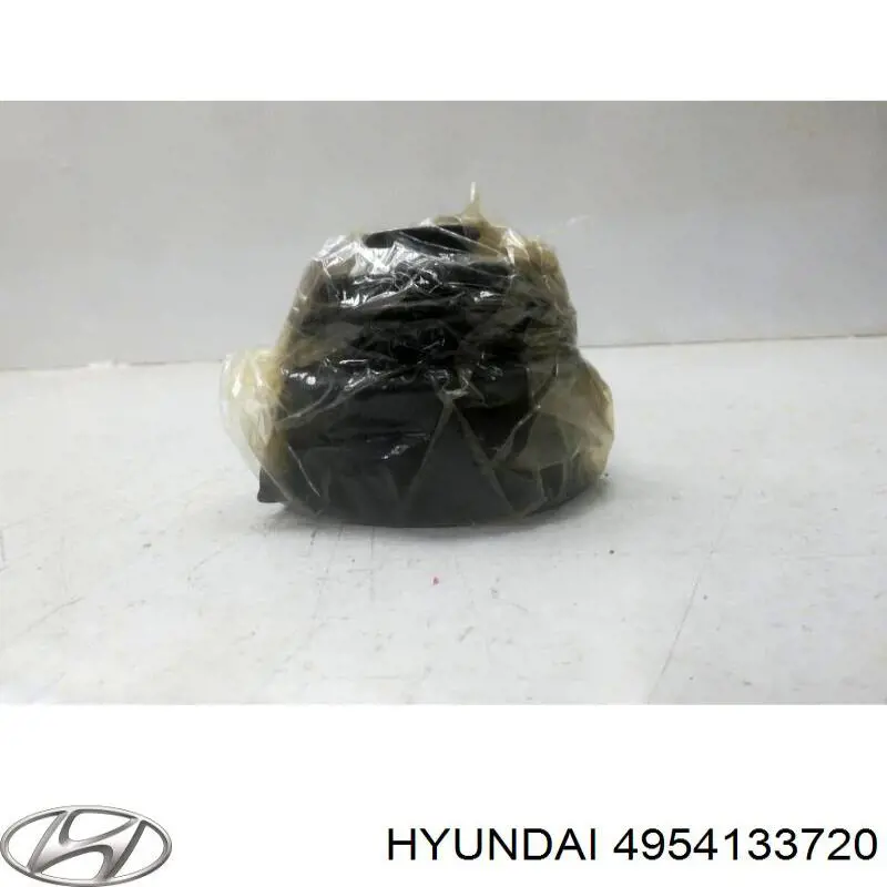 Купити 4954133720 Hyundai/Kia Пильник шарніра приводу