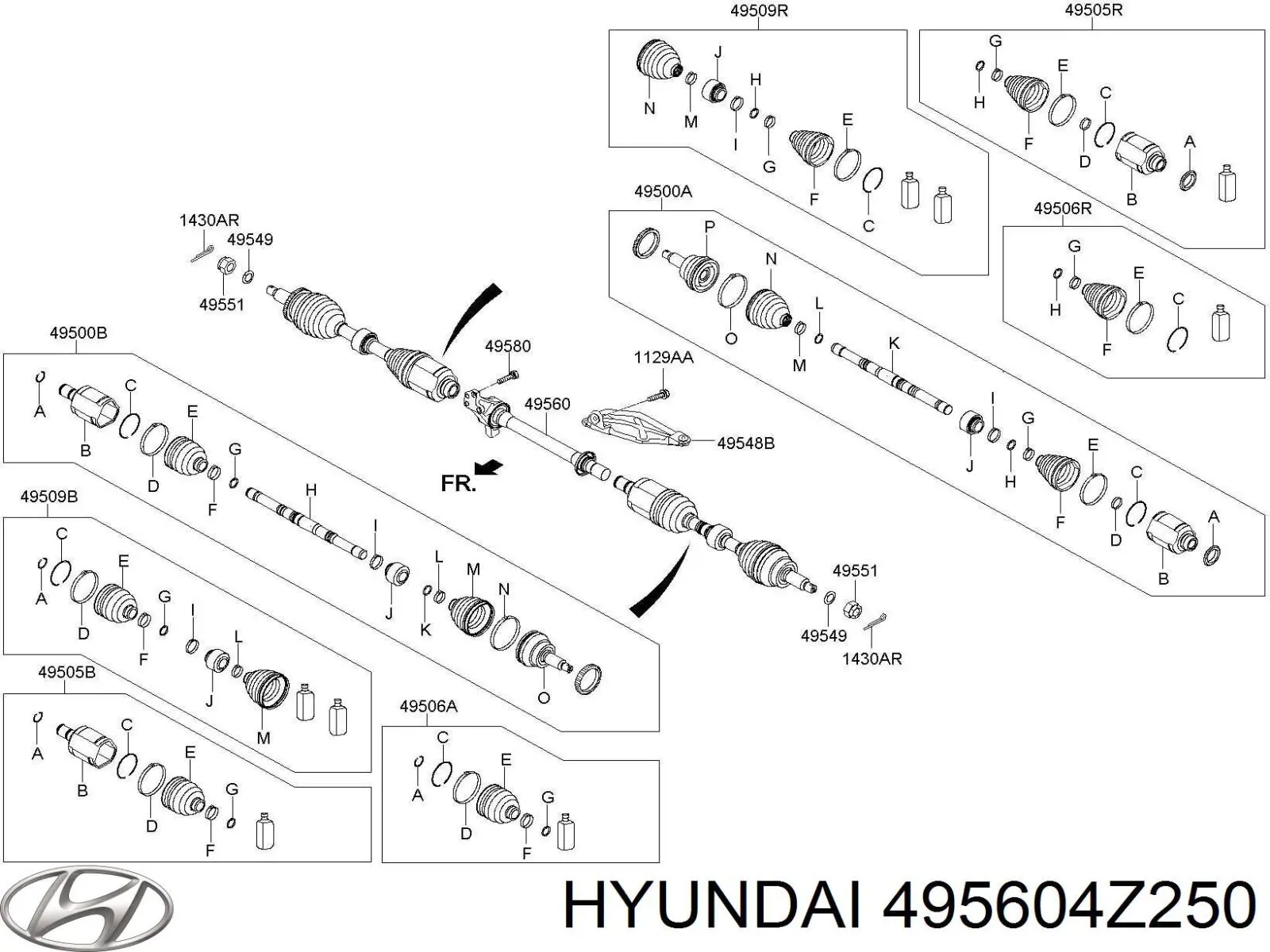  XX495604Z250 Market (OEM)